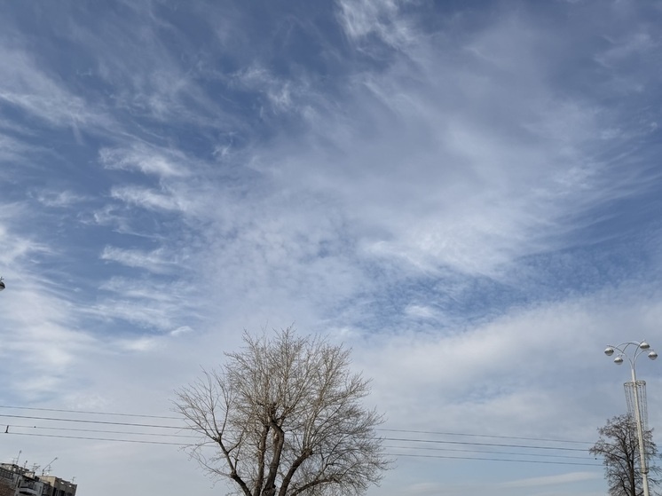     Фото: Александра Ковалёва