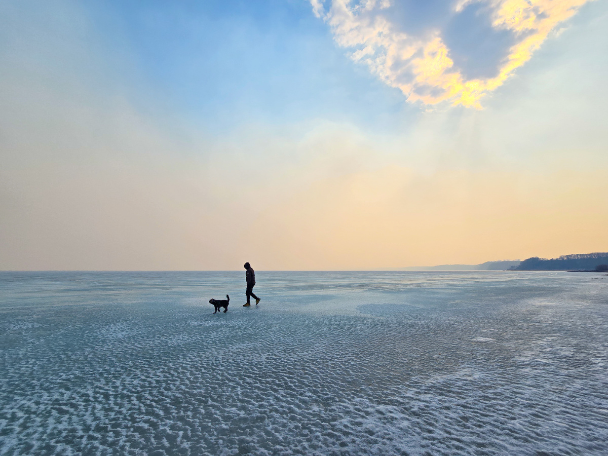 Филя изменил своей привычке не выходить на лед