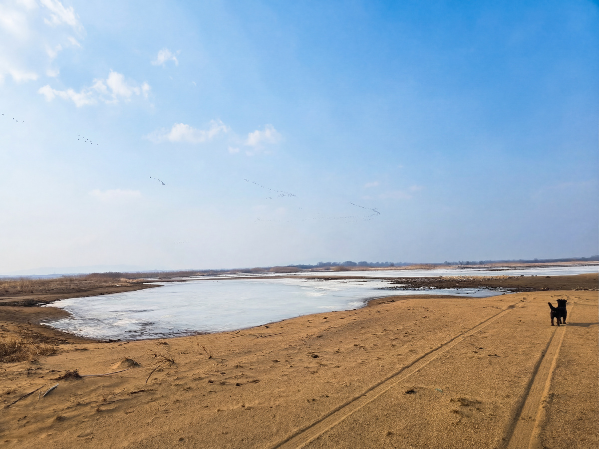 Филя любуется