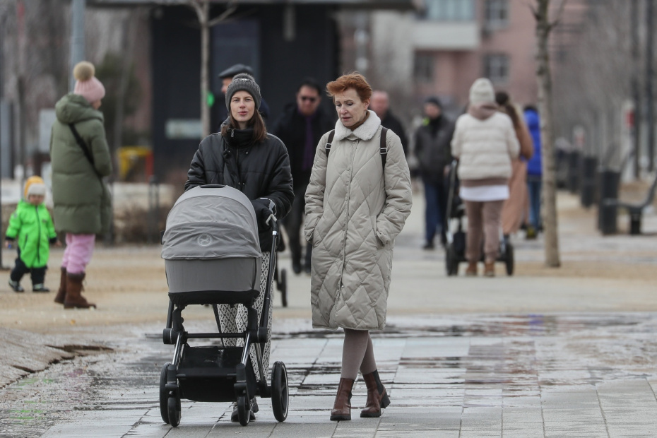    Наталья Шатохина/NEWS.ru