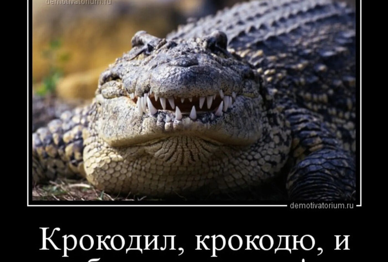 Психопаты: как нам померить нашего крокодила, или о классификациях