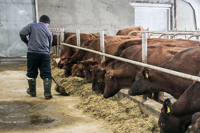    Фото из архива "Континента Сибирь"