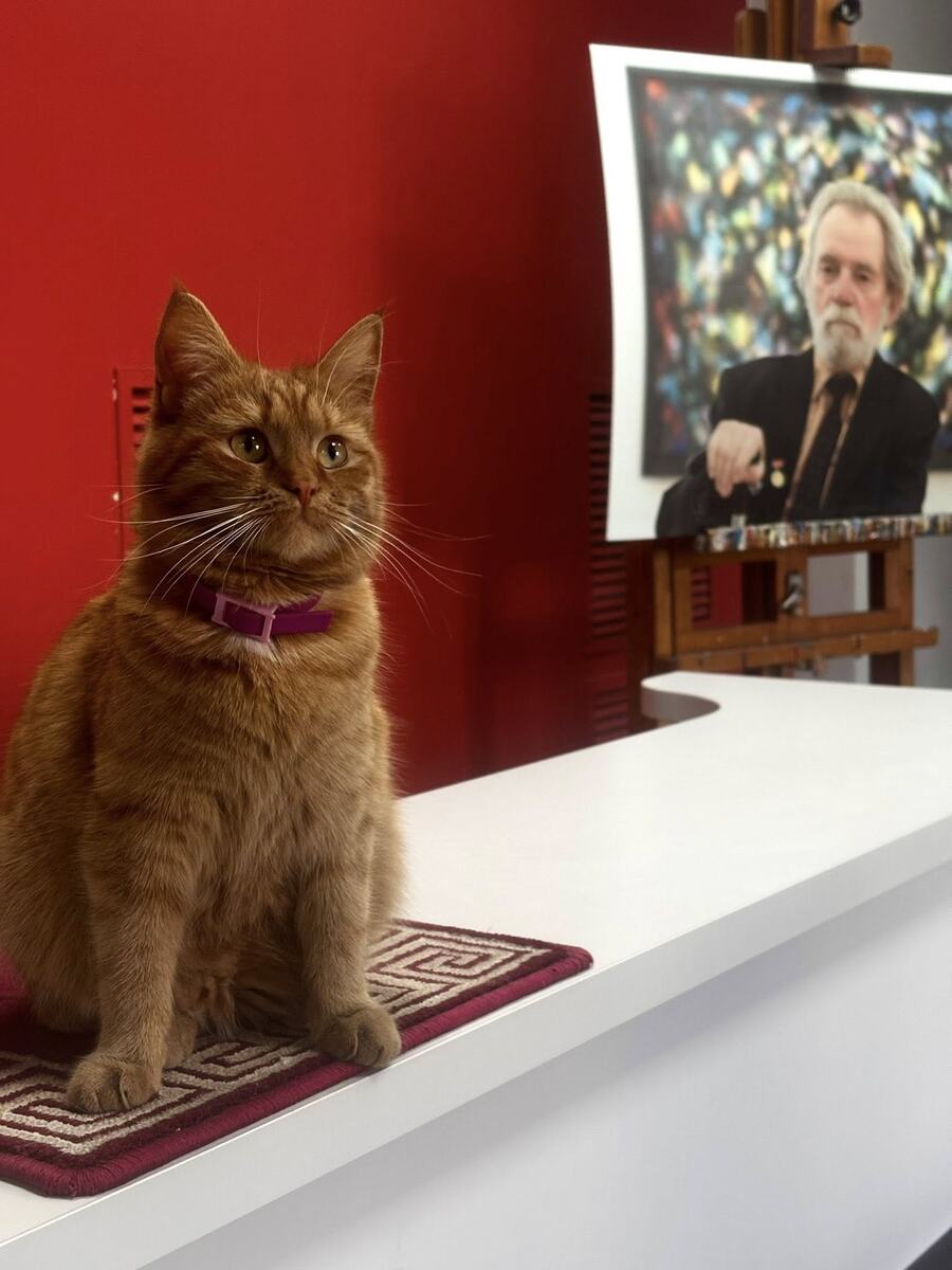 Фото: "Новости Витебска"