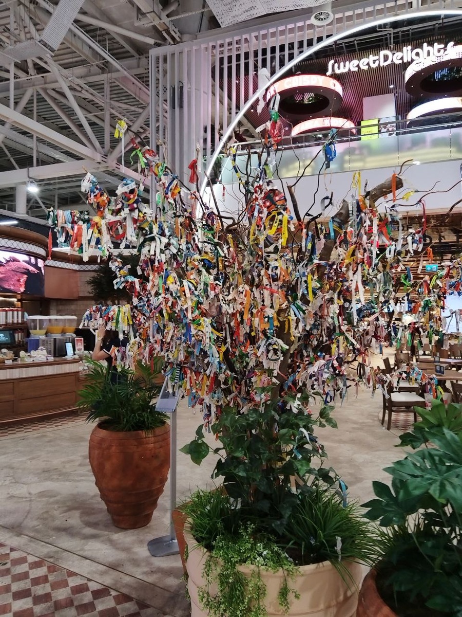 Дерево браслетов. Анталия. Фото автора