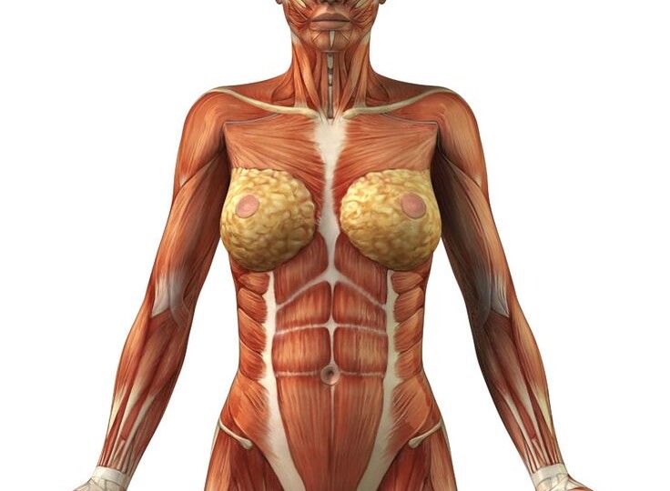 Всего 10 минут в день: этот комплекс возвращает гибкость после 50