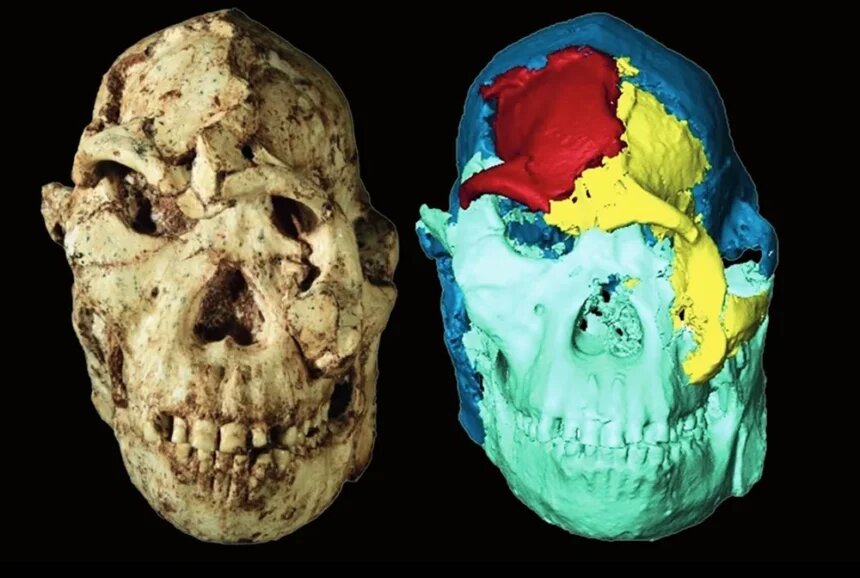    Amelie Beaudet/Wits University