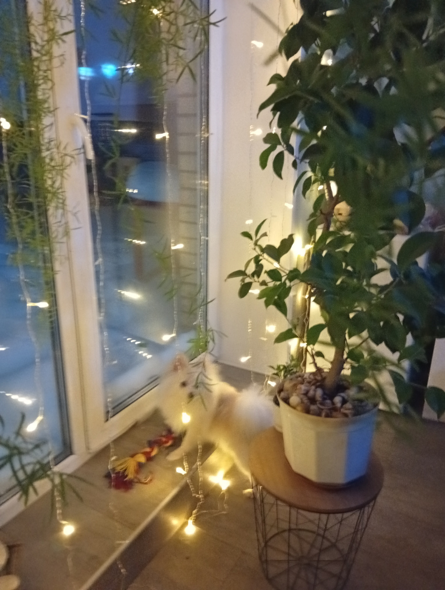 Фото для обложки