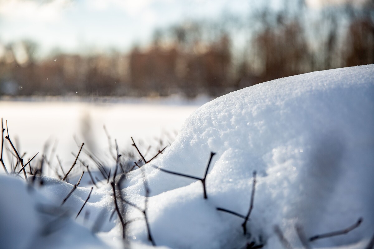 Фото: МТРК "Мир"/Анна Галочкина