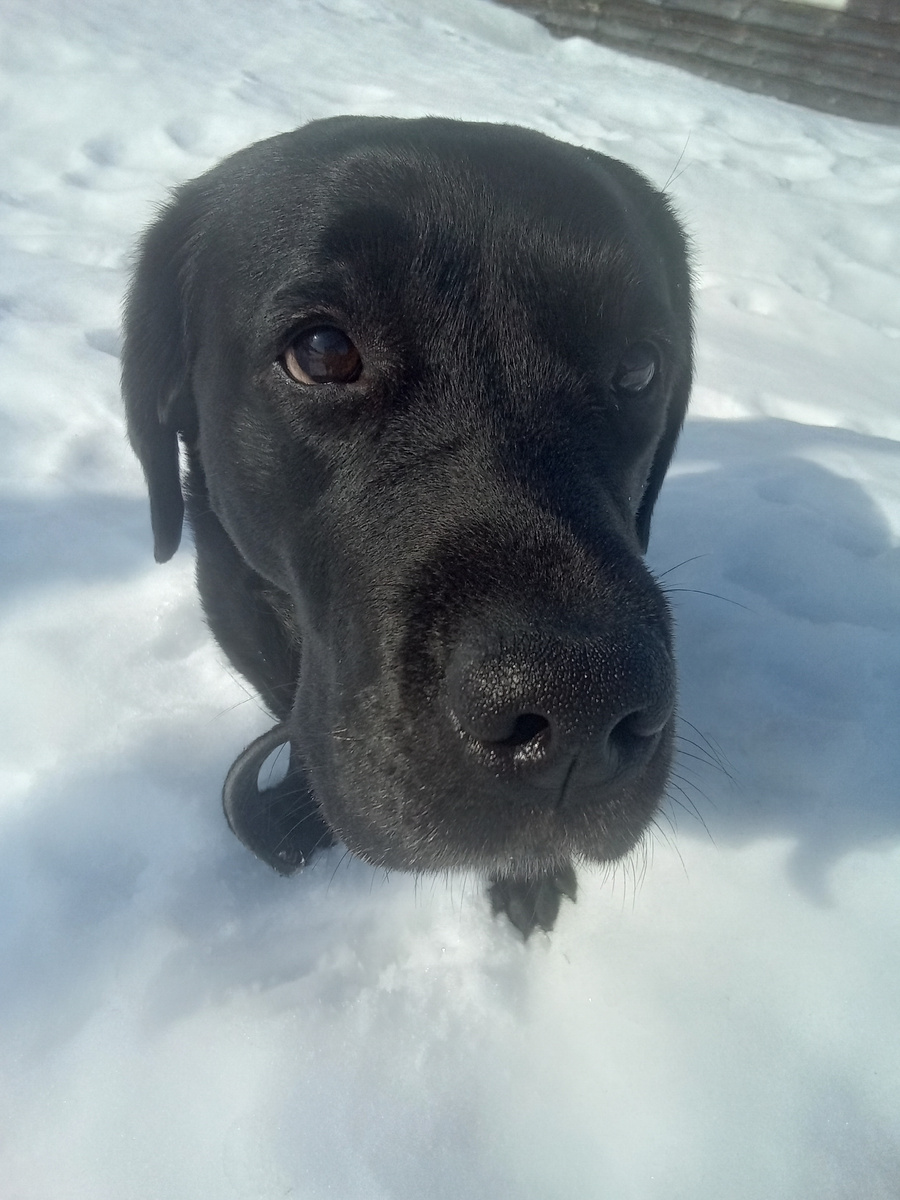 Фото автора. 