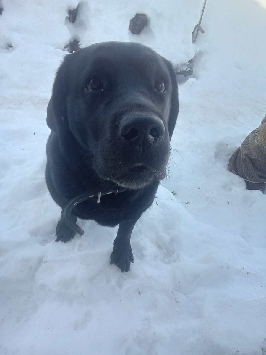 Фото автора. 