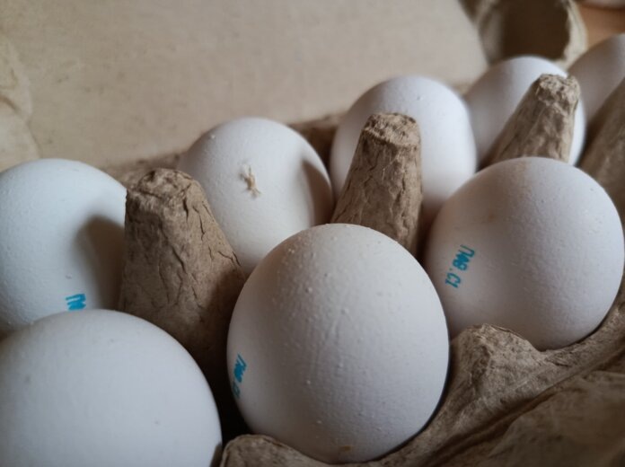    Фото: В курсе.ру