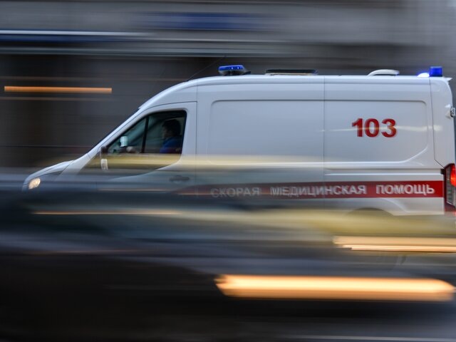    Фото: Москва 24/Антон Великжанин