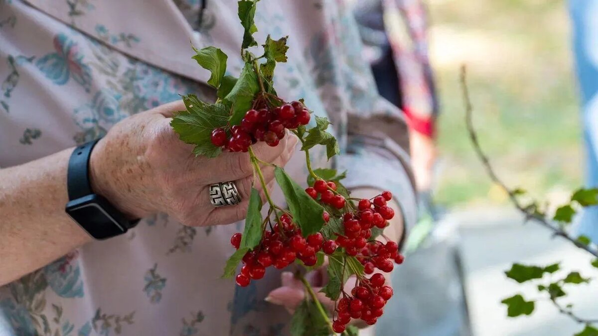 / Фото: REGIONS/Наталья Надточая