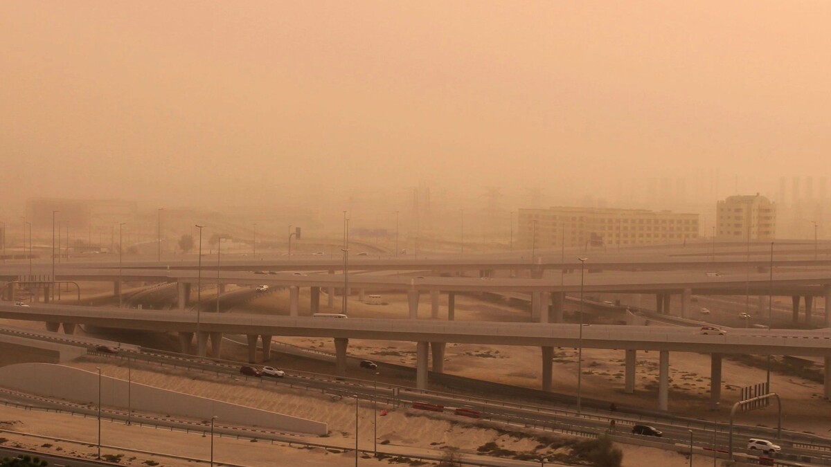    Фото: TanyaBV/Shutterstock/Fotodom