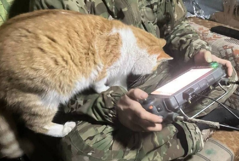 Доброе утро