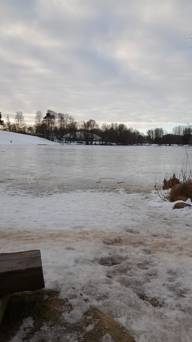 Январь 2025 г