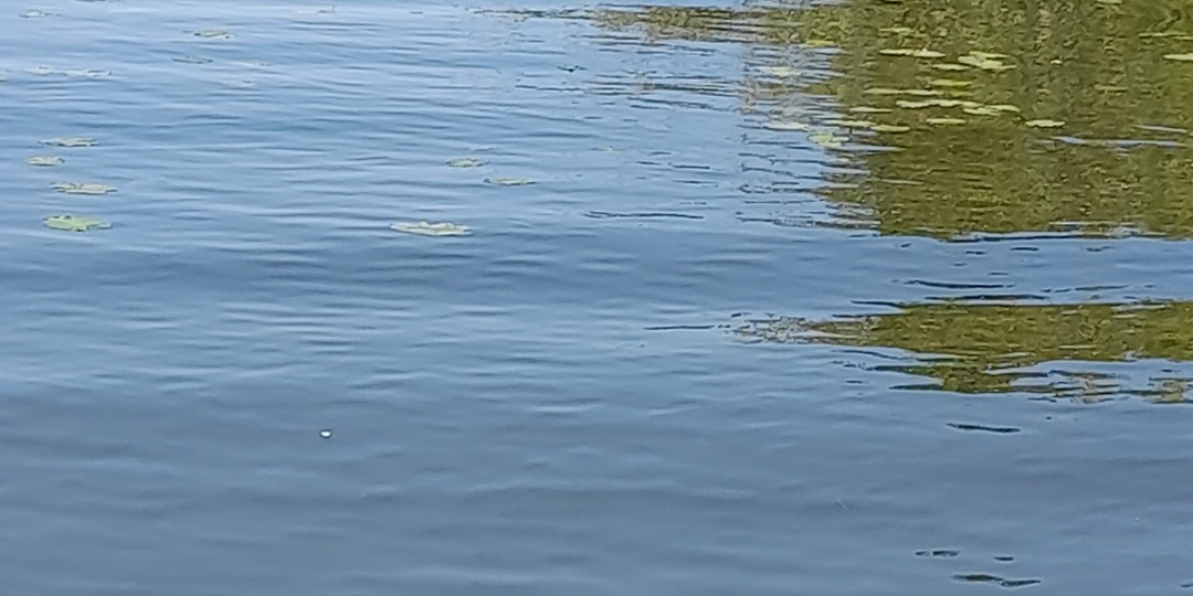 Второе Суздальское озеро