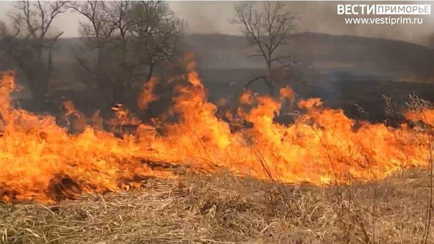    Источник фото: