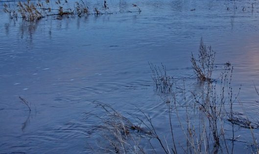    природа Редакция Газеты