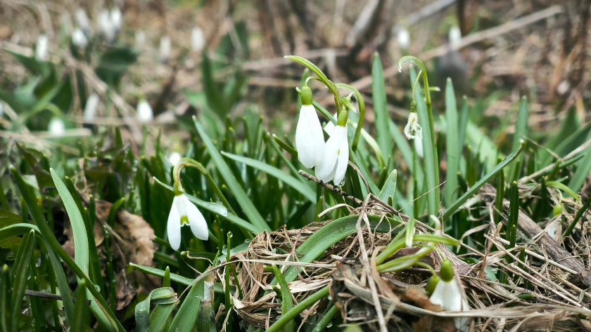    Фото: архив редакции
