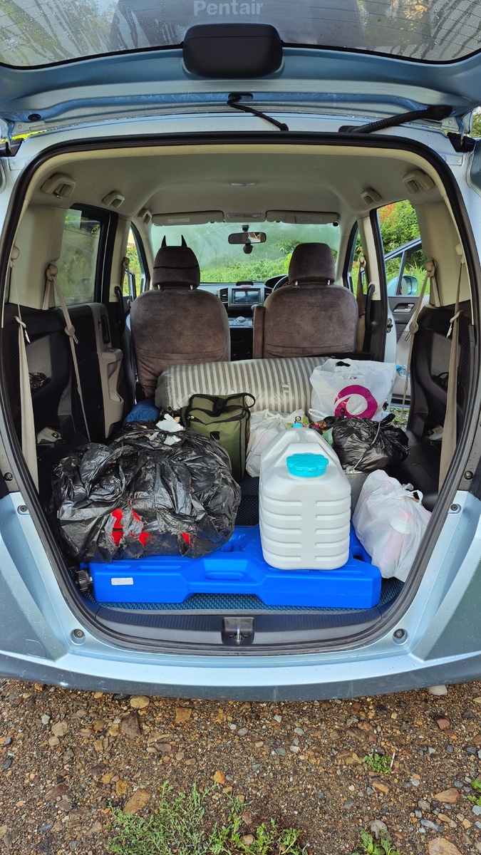 Вот так выглядит "жилое пространство" Фрида со снятыми креслами.