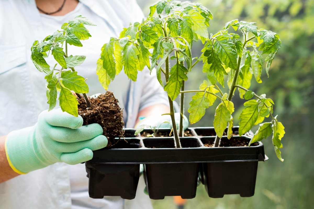    Фото: Freepik.com