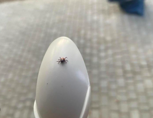 Фото: Сиб.фм 