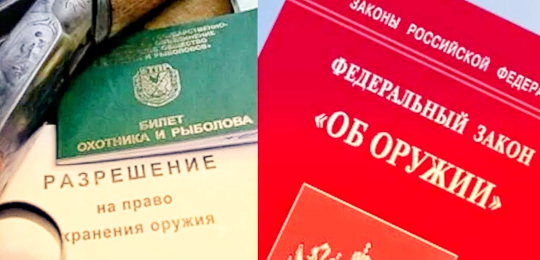 Парадоксы оружейного закона: Судимость — крест на новой лицензии, но старый арсенал можешь оставить. Где логика?