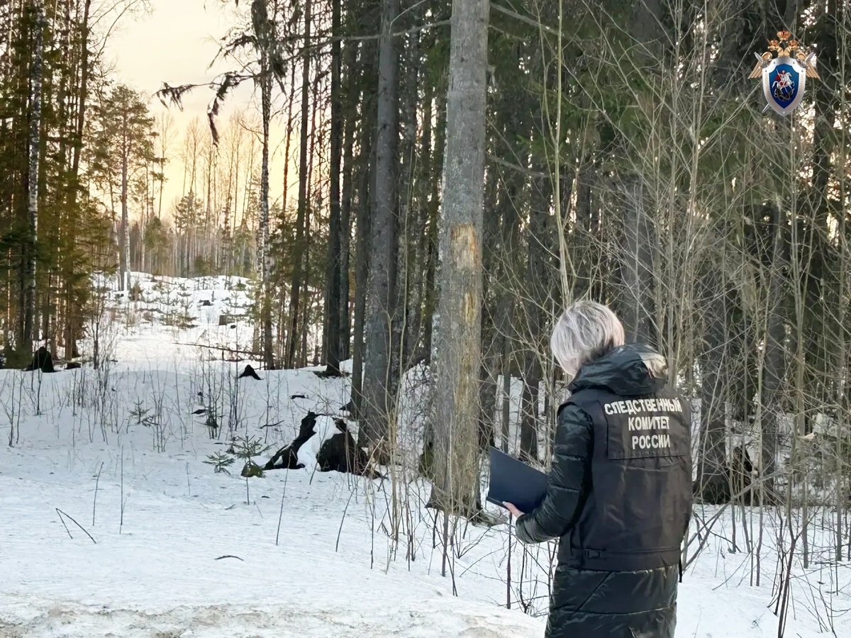    Следком Карелии