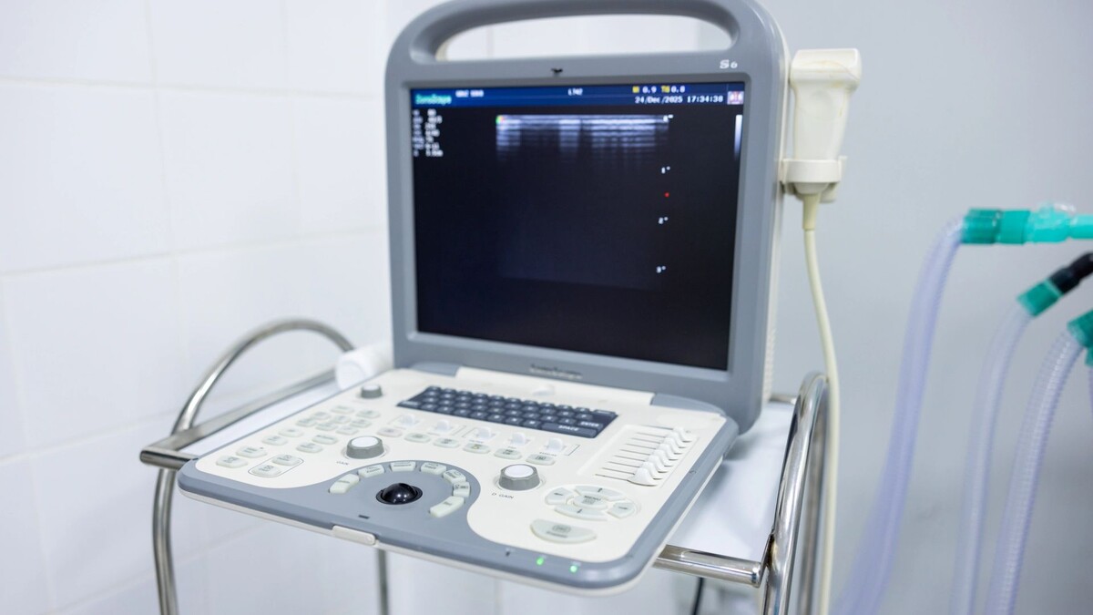    Фото: Федор Воронов / «Ямал-Медиа»