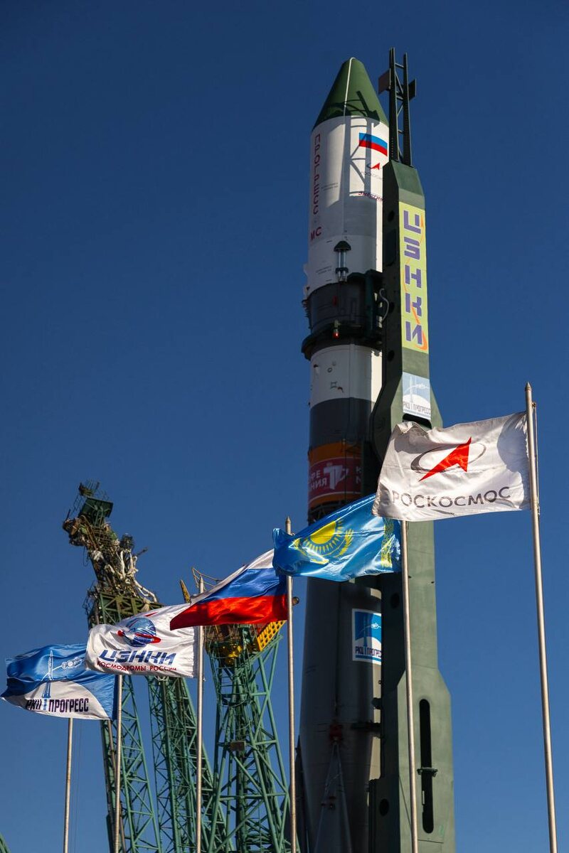 Фото: Артем Пылаев  📷
