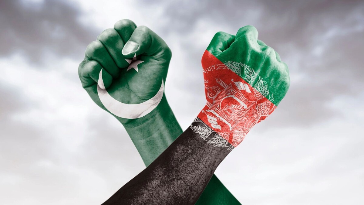    Фото: Efasein/Shutterstock/Fotodom