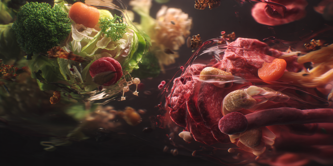 Почему еда «стоит» в желудке? Тайминг пищеварения, который изменит вашу жизнь