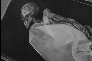 ДНК «Принцессы Укока»: чем алтайская мумия удивила генетиков