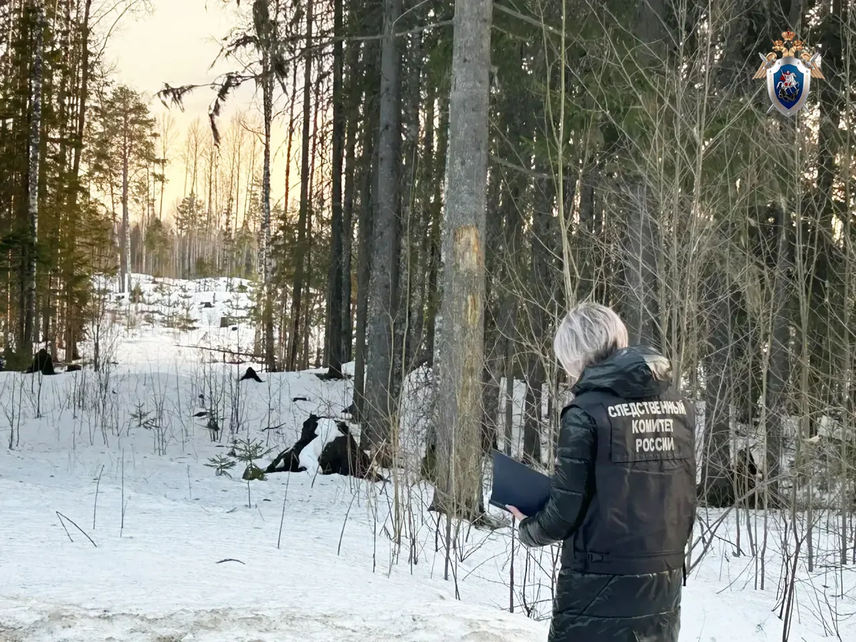    фото: © Следком Карелии