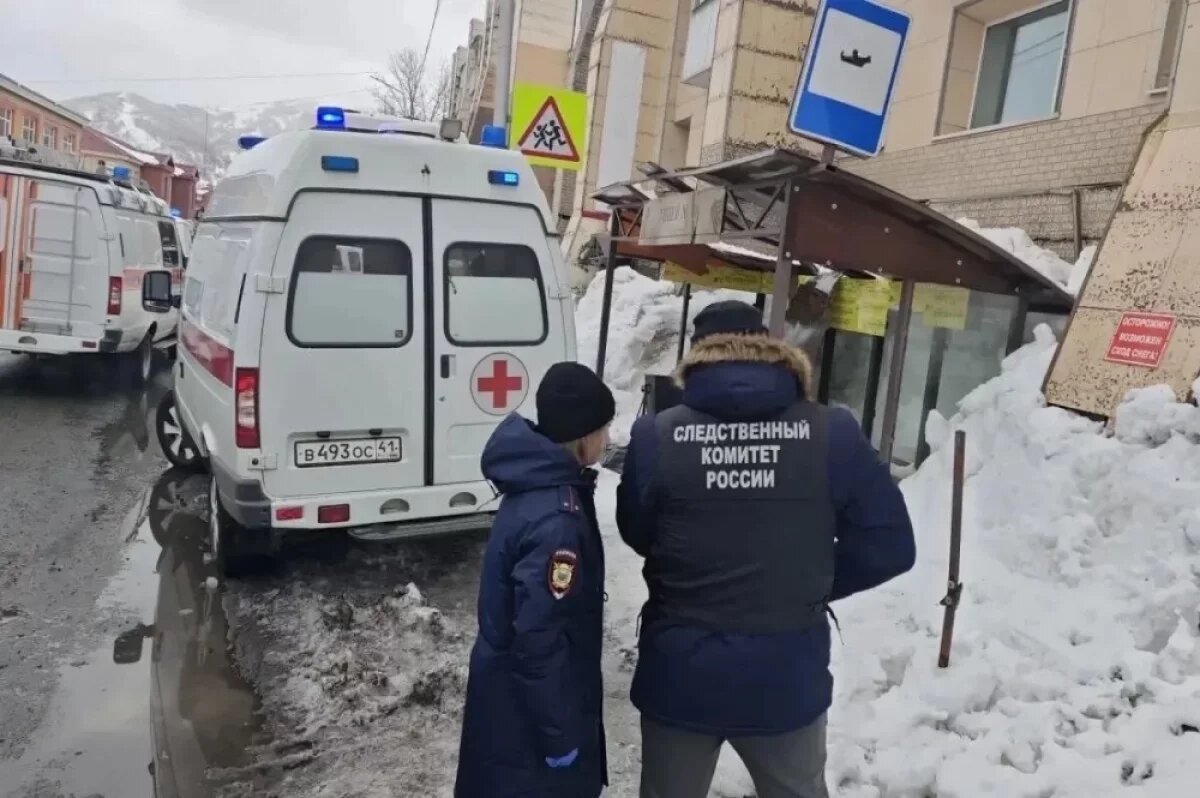    Племянница погибшей от наледи женщины помещена в центр помощи на Камчатке