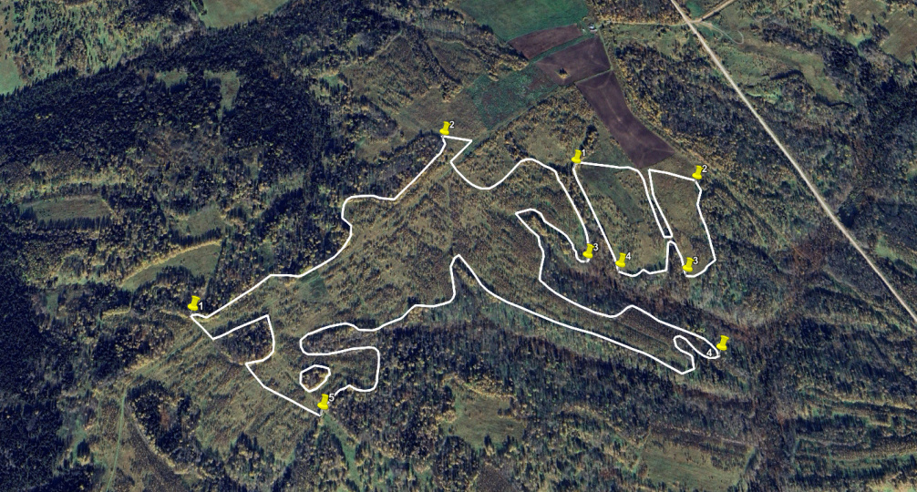 Томский Россельхознадзор обнаружил 55 гектар заросших земель со спутника