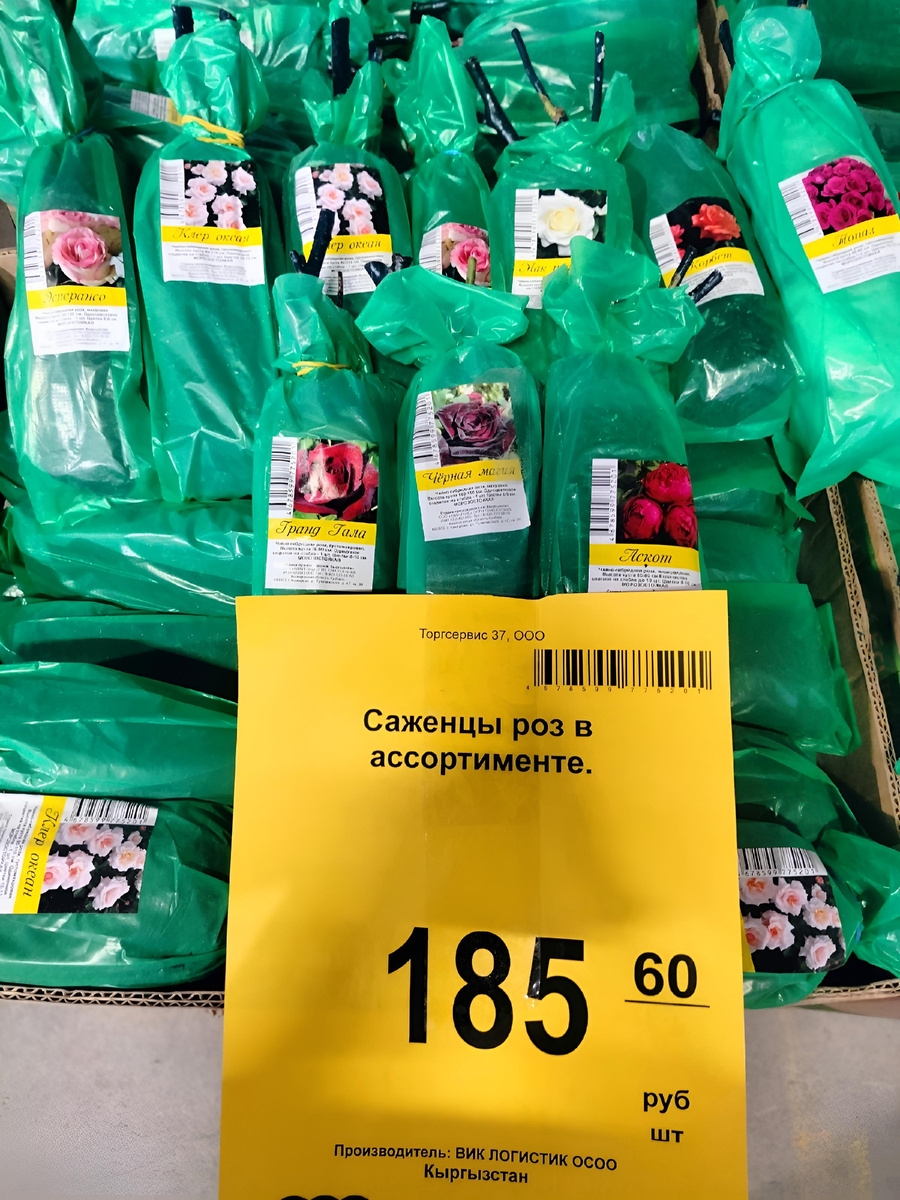 #Светофор#магазинСветофор#розы