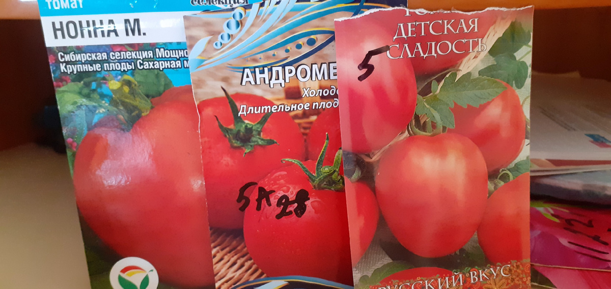 СОРТА ДЛЯ ПОСАДКИ,ВЫБРАННЫЕ МНОЮ.