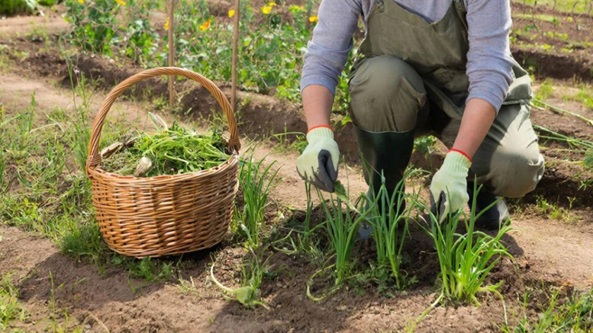    Создано нейросетями
