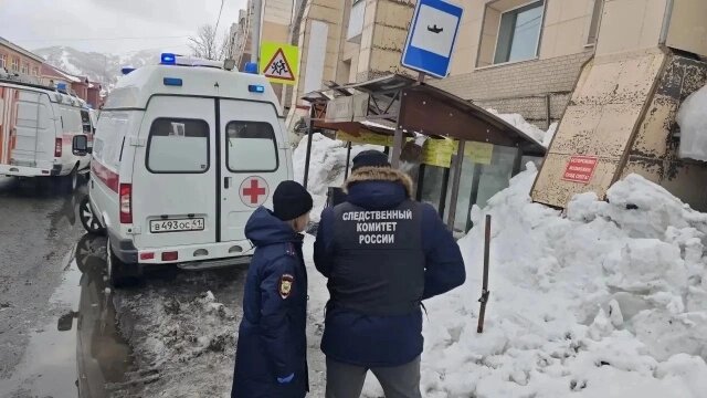    СК возбудил уголовное дело. Фото: СУ СК по Камчатскому краю