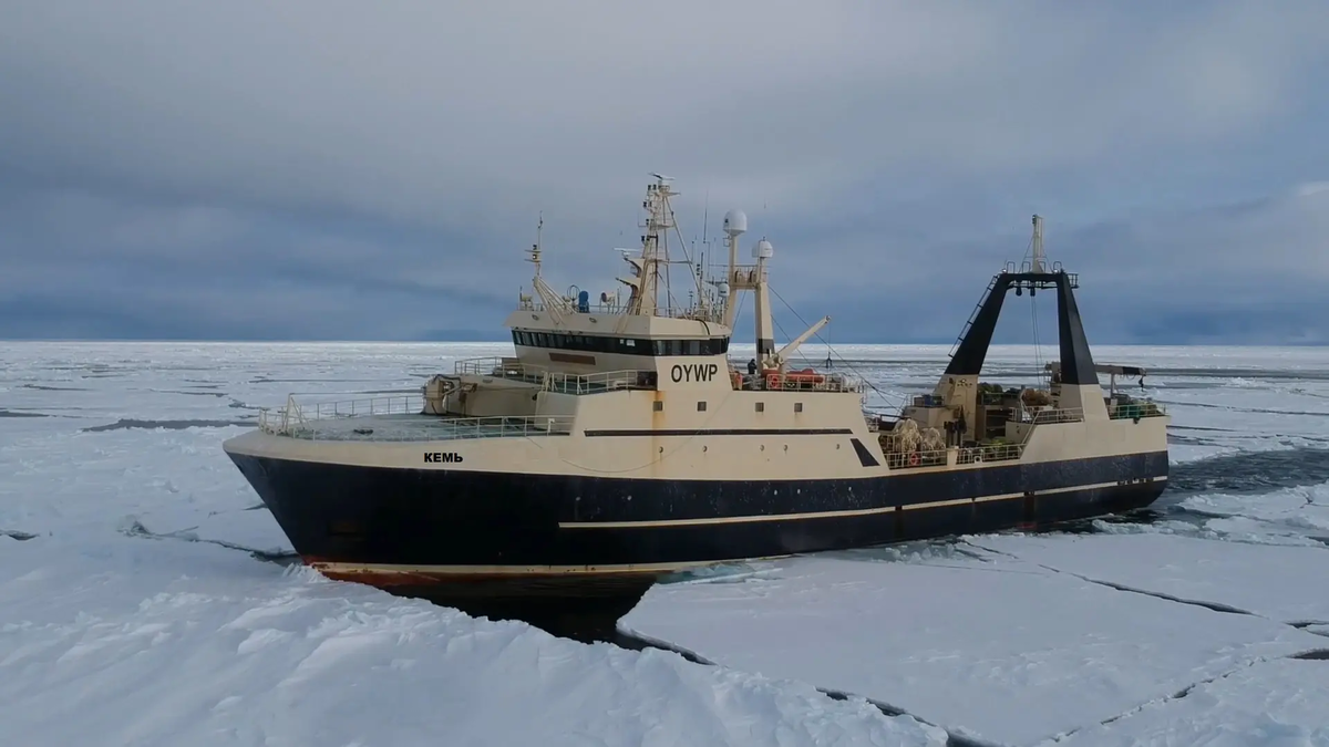    фото: © Союз рыбопромышленников Карелии / Законодательное собрание РК