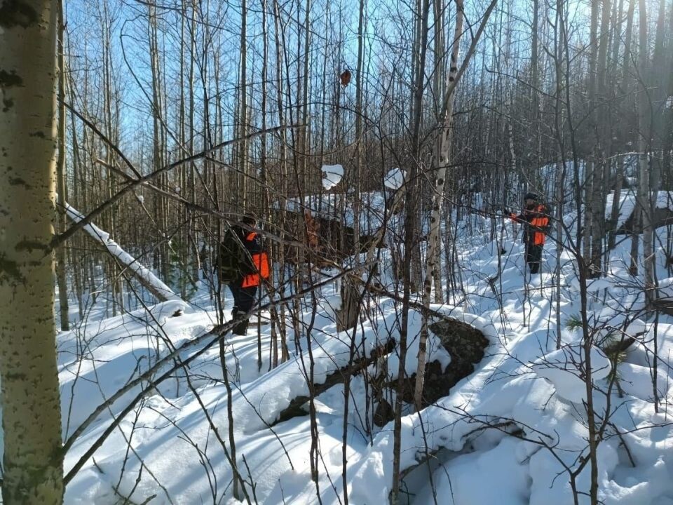    Поиски семьи Усольцевых. Источник: vk.com/krasspas