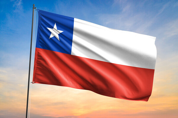 Shutterstock/FOTODOM   📷