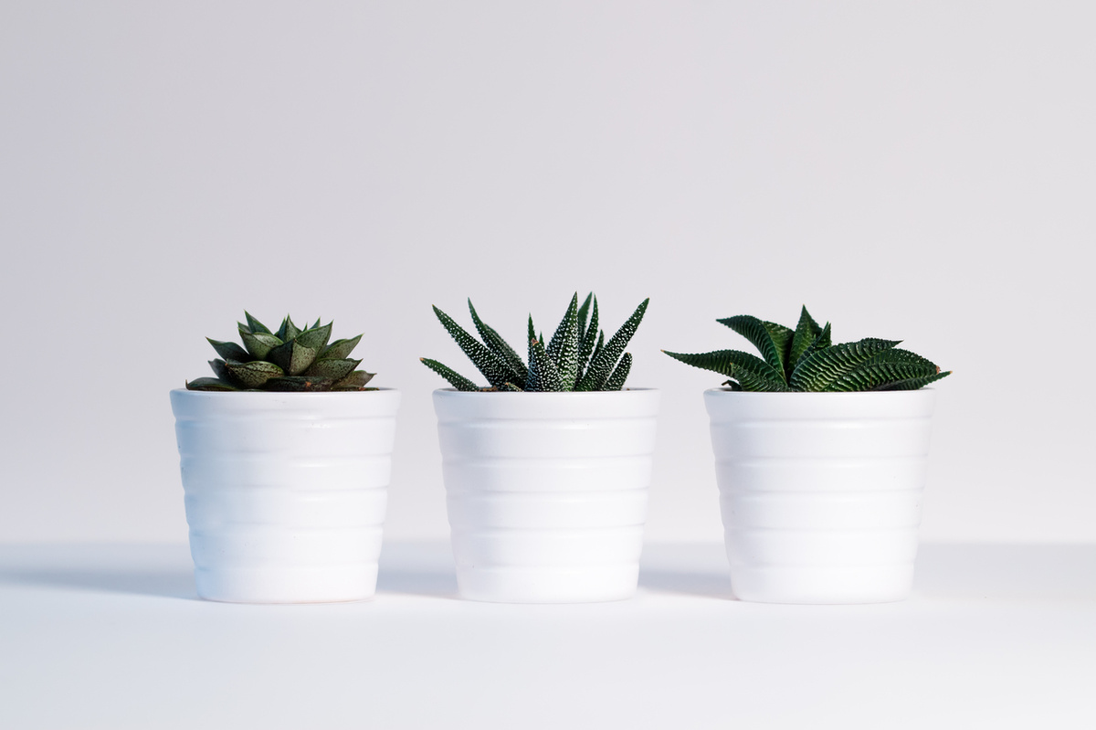   Фото: по лицензии CC0 Pxhere.com