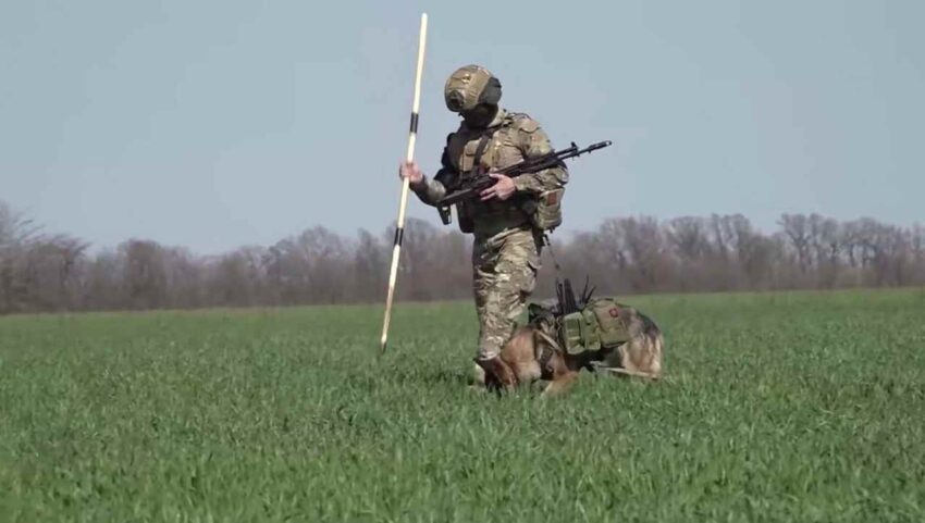    Минобороны РФ.