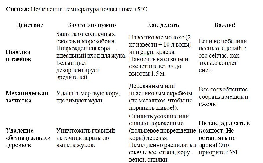 Таблица и фото Натальи Мироновой