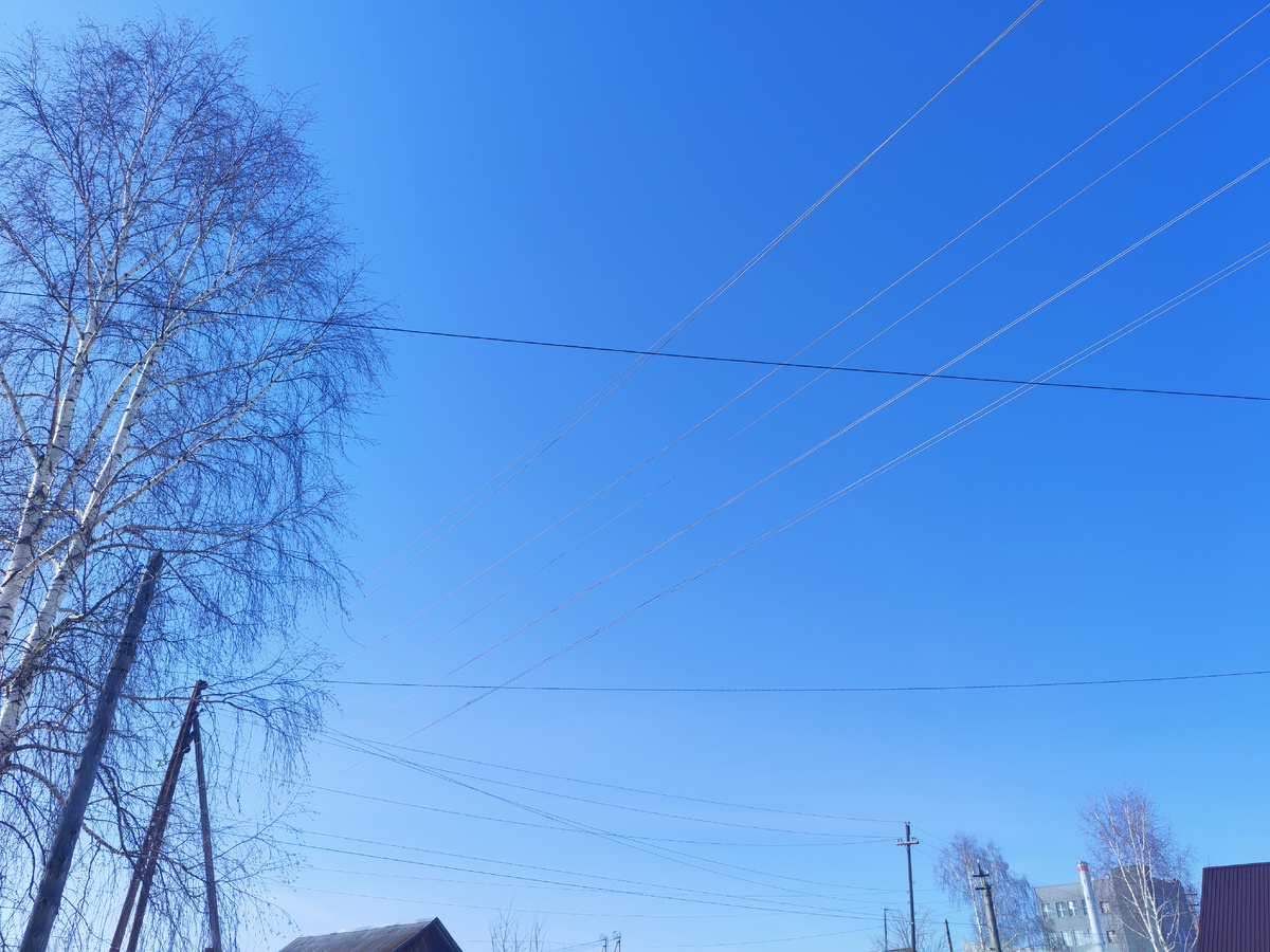 Личное фото автора канала