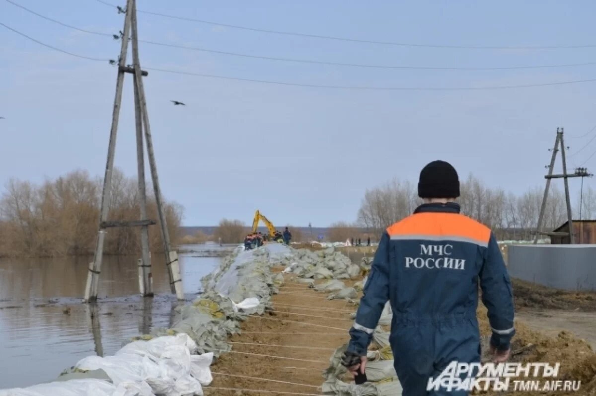    На борьбу с паводками и пожарами в Тюменской области заложили 2,5 млрд