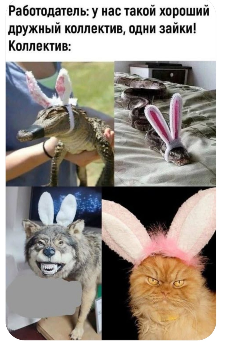 Я на фото снизу справа🤣